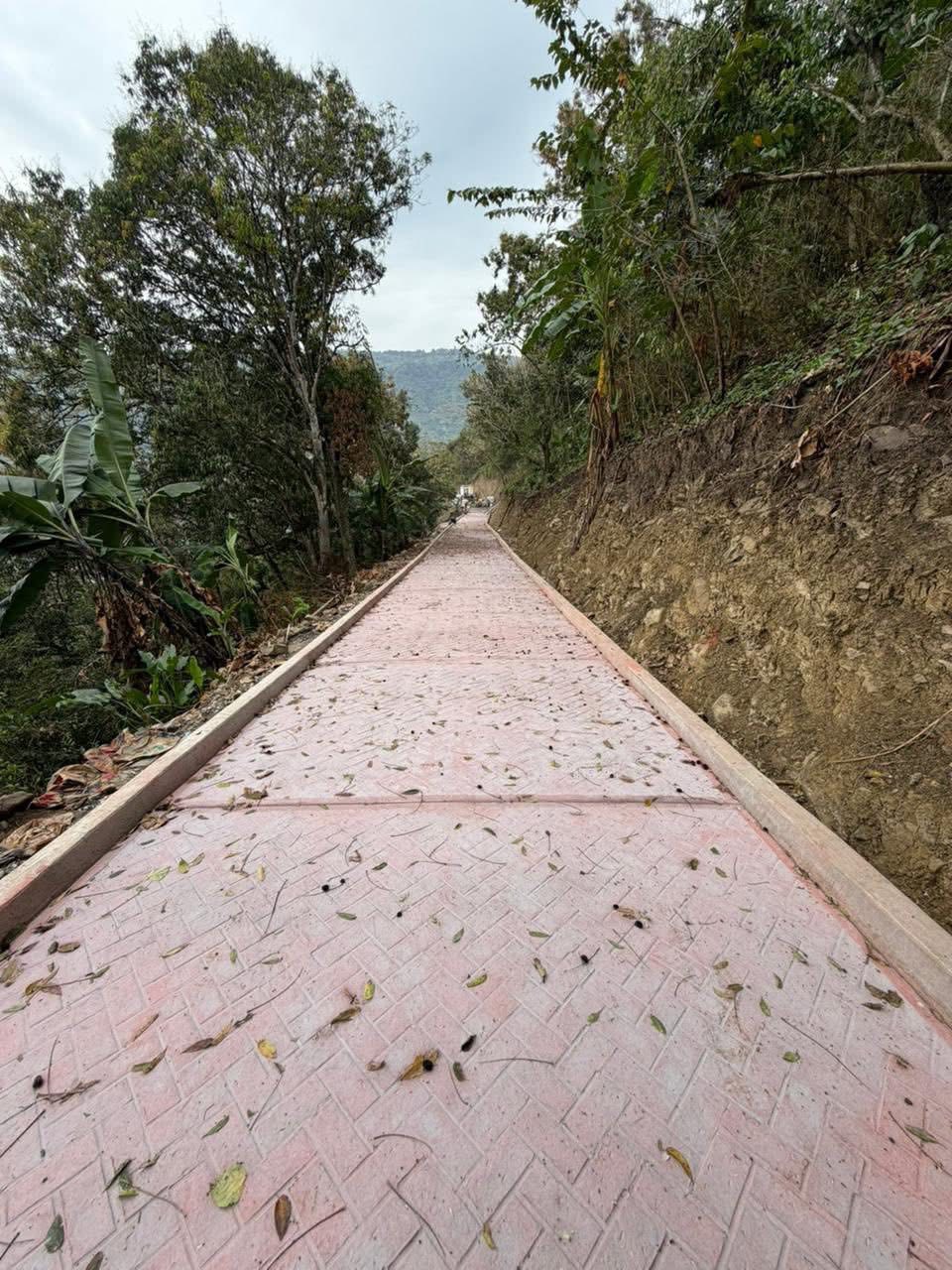 Carlos Barragán Amador, informó que la obra del camino que conduce al Cerro de las Cruces en la Ceiba